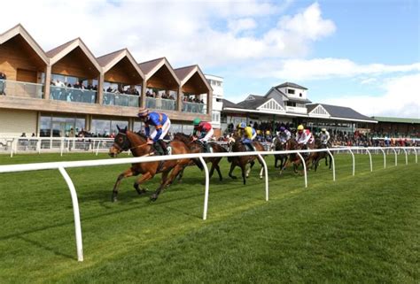 catterick races|catterick races 2023.